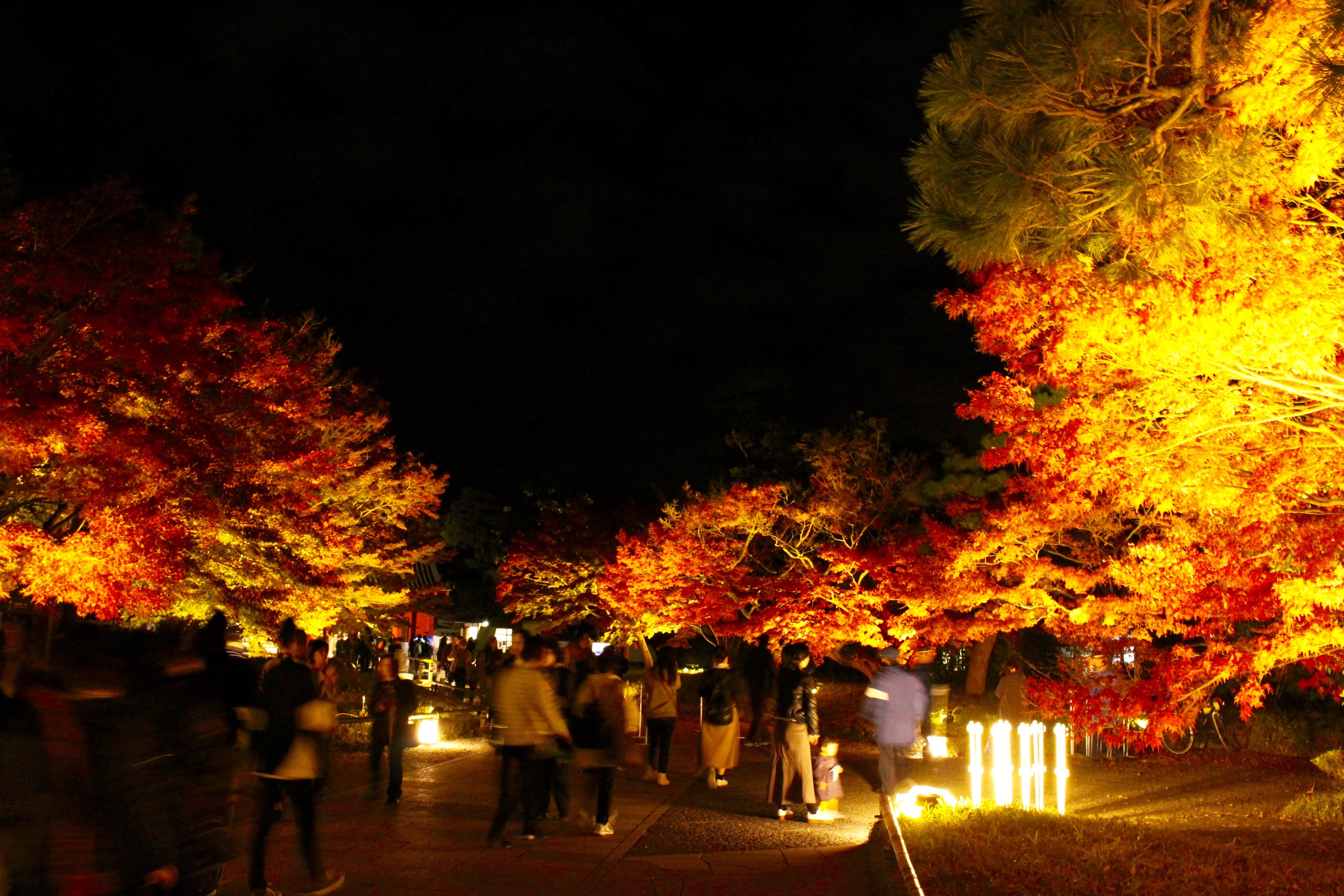 紅葉の鳳凰堂